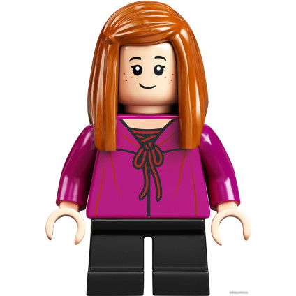 Конструктор LEGO Harry Potter 75978 Косой переулок