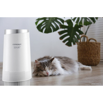 Очиститель воздуха Concept Perfect Air Smart CA1010
