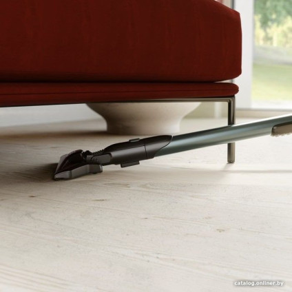 Пылесос Electrolux PD82-ALRG