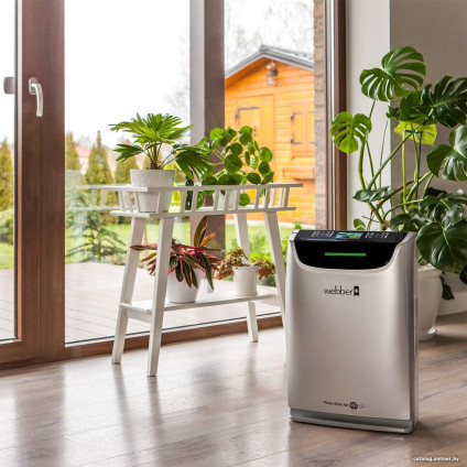 Очиститель воздуха Webber AP9405