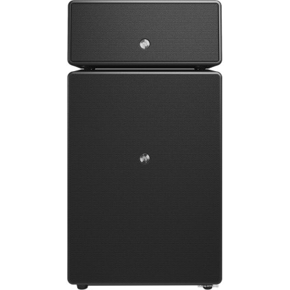 Беспроводная аудиосистема Audio Pro Drumfire II (черный)