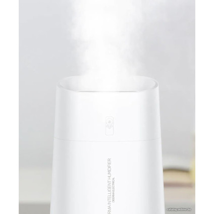 Увлажнитель воздуха Deerma DEM-LD220 (международная версия)