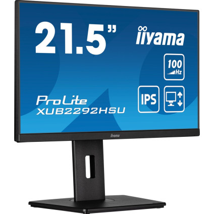Монитор Iiyama ProLite XUB2292HSU-B6