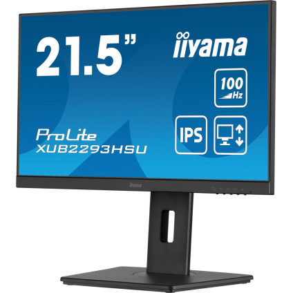 Монитор Iiyama ProLite XUB2293HSU-B7