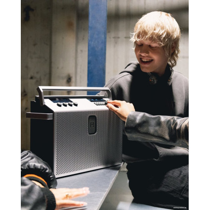 Беспроводная колонка Defunc Mondo BT Speaker Large (серебристый)