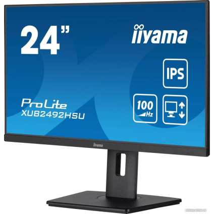 Монитор Iiyama ProLite XUB2492HSU-B6