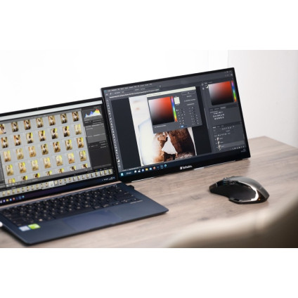 Портативный монитор Verbatim PMT-15 49592