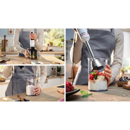 Погружной блендер Bosch ErgoMaster MSM4W421