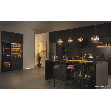 Винный шкаф Haier HWS247GGU1