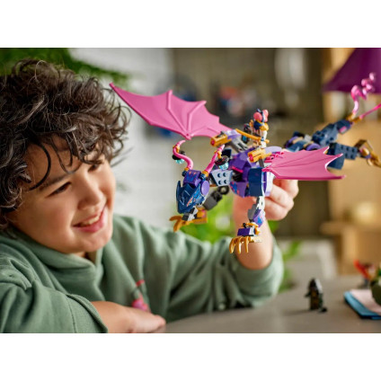 Конструктор LEGO Ninjago Мастер Драконов 71842