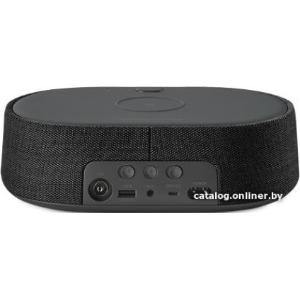 Умная колонка Harman/Kardon Citation Oasis (черный)