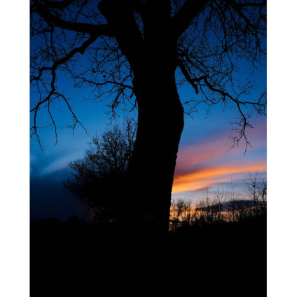 Беззеркальный фотоаппарат Fujifilm X-T50 Body (черный)