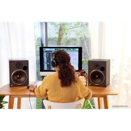 Наушники RODE NTH-100 (черный)