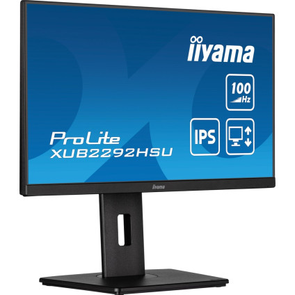 Монитор Iiyama ProLite XUB2292HSU-B6
