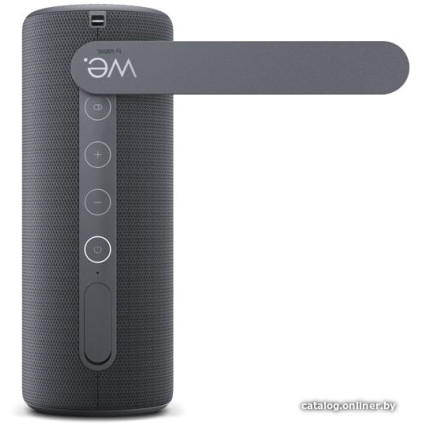 Беспроводная колонка Loewe We. HEAR 1 (черный)