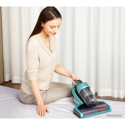 Пылесос для удаления пылевых клещей Jimmy BX7 Pro (серебристый)