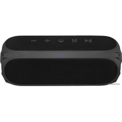 Беспроводная колонка Niceboy Raze 3 Radion