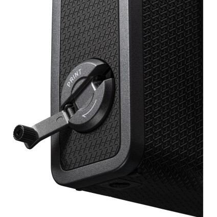 Фотоаппарат Fujifilm Instax Wide Evo (черный)