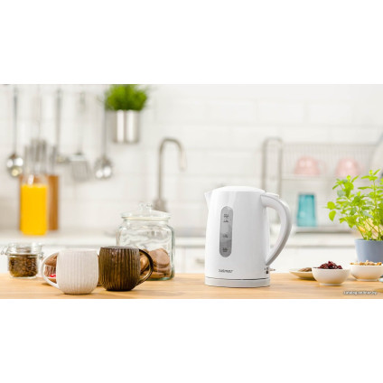 Электрический чайник Zelmer ZCK7616S