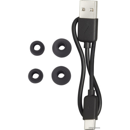 Наушники Harman/Kardon Fly TWS