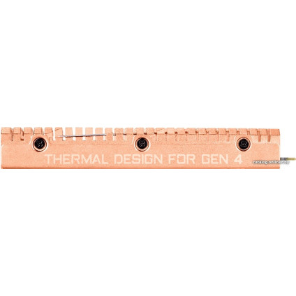 SSD Gigabyte Aorus NVMe Gen4 2TB GP-ASM2NE6200TTTD