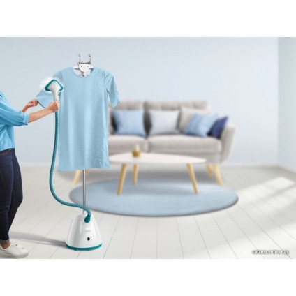 Отпариватель Tefal IT2460E0