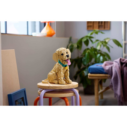 Конструктор LEGO Icons 11384 Щенок золотистого ретривера