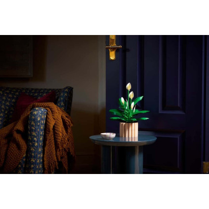 Конструктор LEGO The Botanical Collection 11504 Мирная лилия