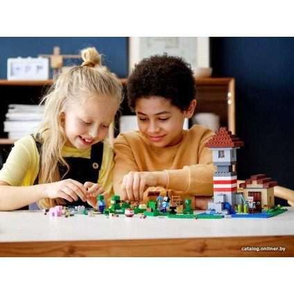 Конструктор LEGO Minecraft 21161 Набор для творчества 3.0