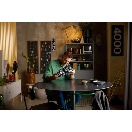 Конструктор LEGO Technic 42223 Гоночный автомобиль Ford GT40 MKII 1966