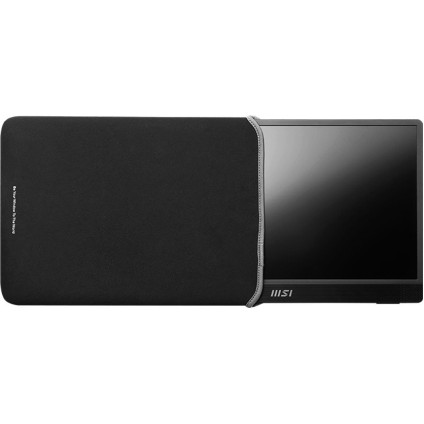 Портативный монитор MSI Pro MP161 E2