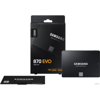 SSD Samsung 870 Evo 250GB MZ-77E250BW