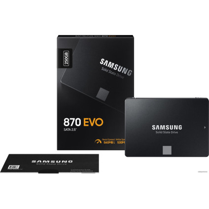SSD Samsung 870 Evo 250GB MZ-77E250BW