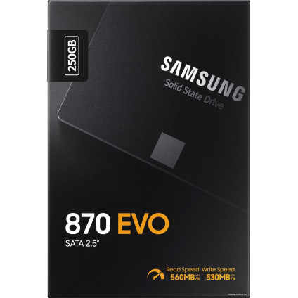 SSD Samsung 870 Evo 250GB MZ-77E250BW