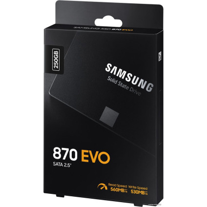 SSD Samsung 870 Evo 250GB MZ-77E250BW