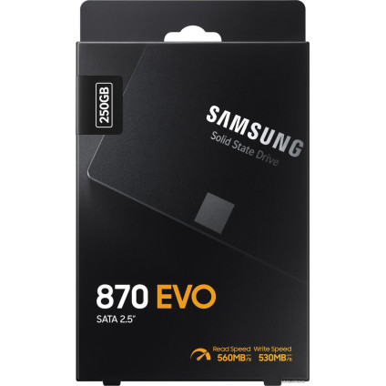 SSD Samsung 870 Evo 250GB MZ-77E250BW