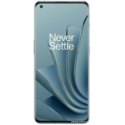 Телефон OnePlus 10 Pro NE2210 12GB/256GB китайская версия (изумрудный лес)