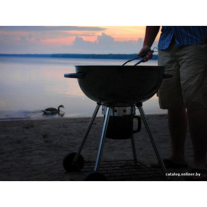 Гриль Napoleon PRO22K