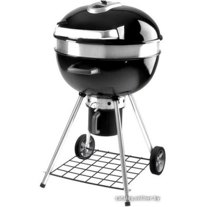 Гриль Napoleon PRO22K