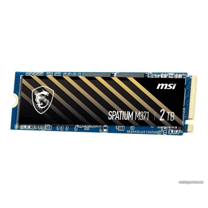 SSD MSI Spatium M371 500GB S78-440K160-P83