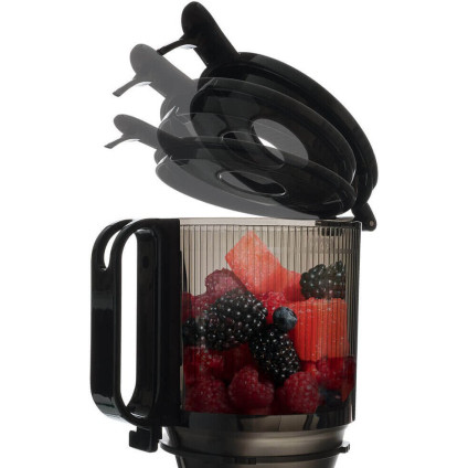 Соковыжималка Tesla Electronics SlowJuicer SJ770 XXL