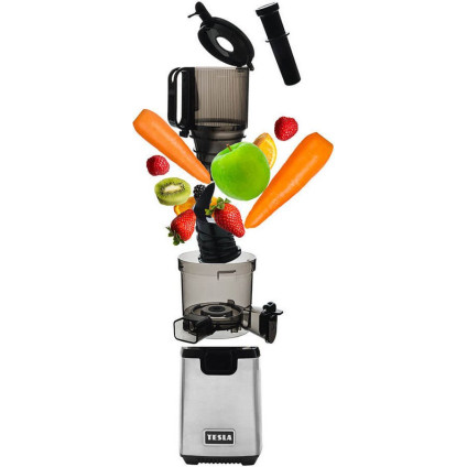 Соковыжималка Tesla Electronics SlowJuicer SJ770 XXL