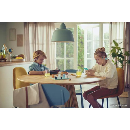 Наушники Philips TAK4607GY/00