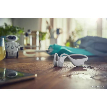 Наушники Philips TAK4607GY/00