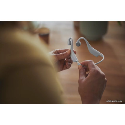 Наушники Philips TAK4607GY/00