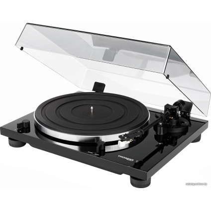 Виниловый проигрыватель Thorens TD 201