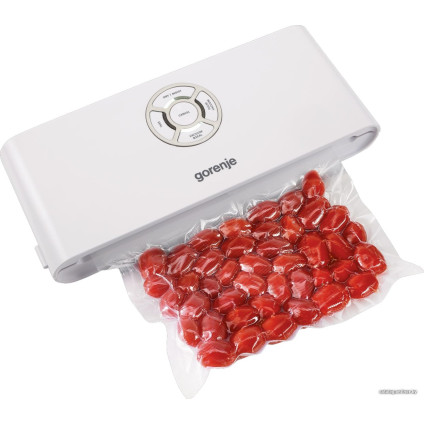 Бескамерный вакуумный упаковщик Gorenje VS120W