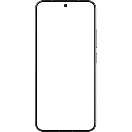 Телефон Xiaomi 15 12GB/256GB международная версия (серебристый)