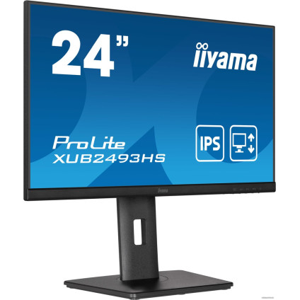 Монитор iiyama ProLite XUB2493HS-B5